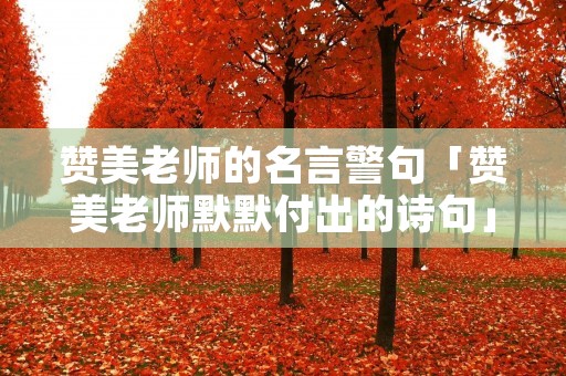 赞美老师的名言警句「赞美老师默默付出的诗句」
