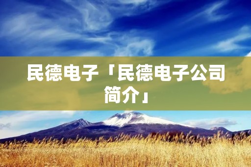 民德电子「民德电子公司简介」