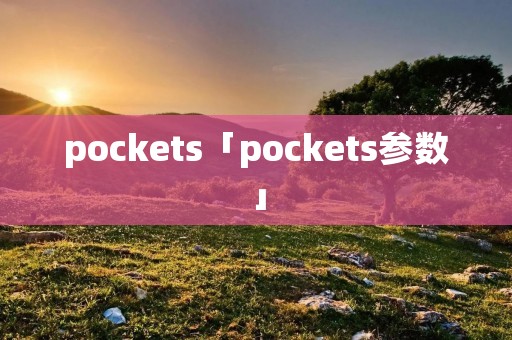 pockets「pockets参数」