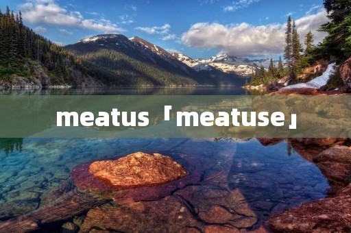 meatus「meatuse」