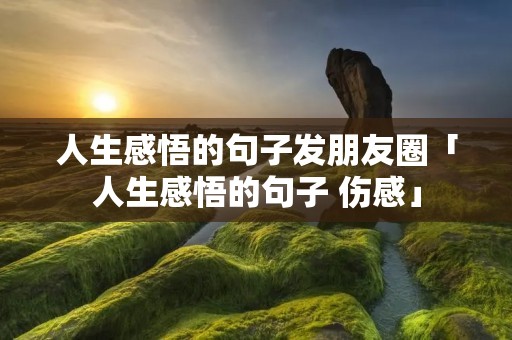 人生感悟的句子发朋友圈「人生感悟的句子 伤感」