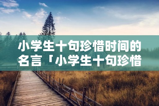 小学生十句珍惜时间的名言「小学生十句珍惜时间的名言和作者」
