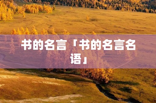 书的名言「书的名言名语」