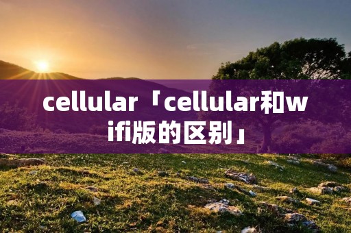 cellular「cellular和wifi版的区别」