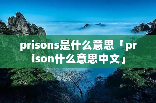 prisons是什么意思「prison什么意思中文」