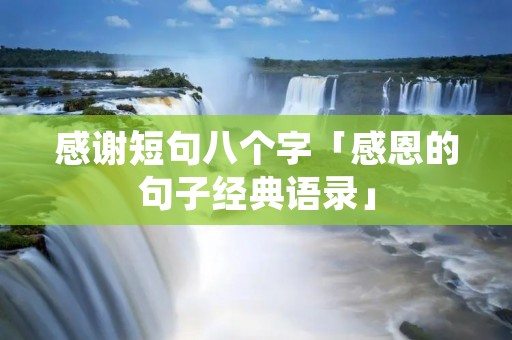 感谢短句八个字「感恩的句子经典语录」