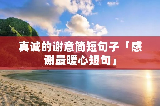 真诚的谢意简短句子「感谢最暖心短句」