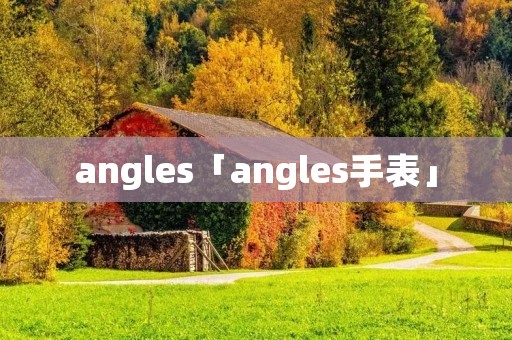 angles「angles手表」 angles「angles手表」