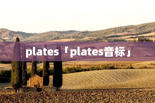 plates「plates音标」