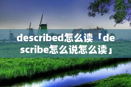 described怎么读「describe怎么说怎么读」