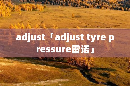 adjust「adjust tyre pressure雷诺」 adjust「adjust tyre pressure雷诺」