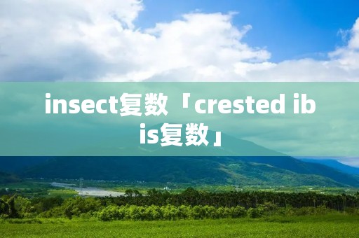 insect复数「crested ibis复数」