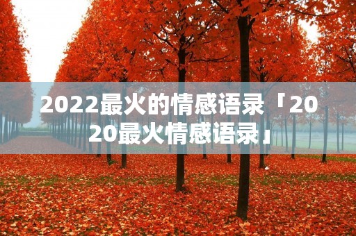 2022最火的情感语录「2020最火情感语录」