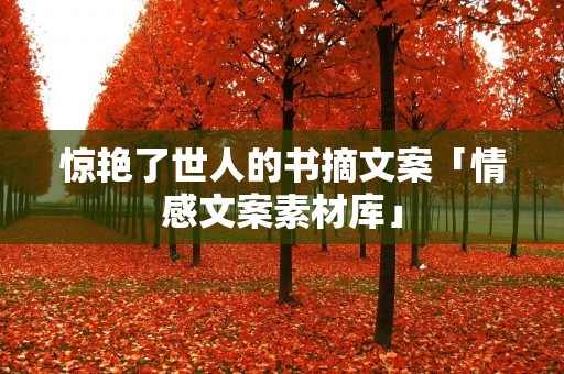 惊艳了世人的书摘文案「情感文案素材库」