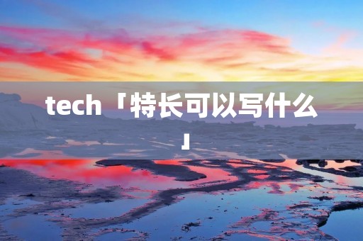 tech「特长可以写什么」