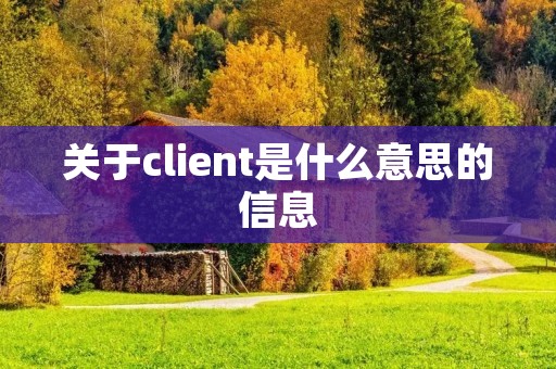 关于client是什么意思的信息