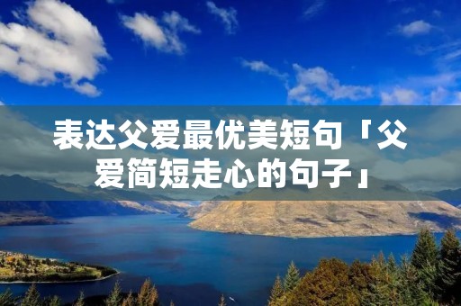表达父爱最优美短句「父爱简短走心的句子」