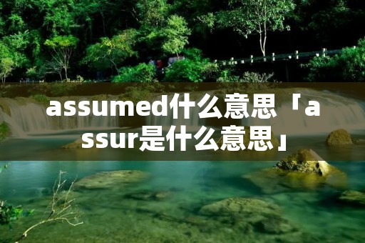 assumed什么意思「assur是什么意思」 assumed什么意思「assur是什么意思」