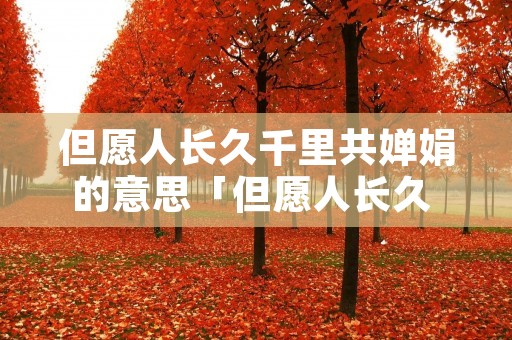 但愿人长久千里共婵娟的意思「但愿人长久 千里共婵娟的意思?」