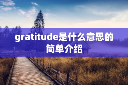 gratitude是什么意思的简单介绍