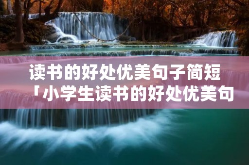 读书的好处优美句子简短「小学生读书的好处优美句子」