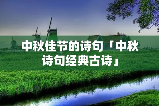 中秋佳节的诗句「中秋诗句经典古诗」