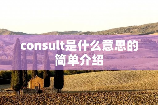 consult是什么意思的简单介绍