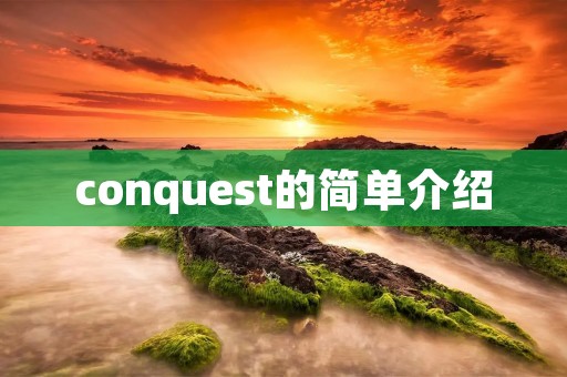 conquest的简单介绍