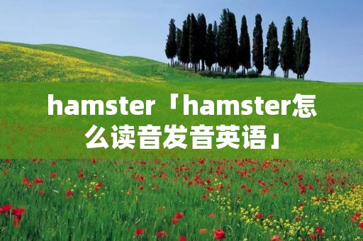 hamster「hamster怎么读音发音英语」