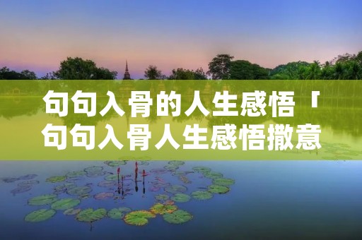 句句入骨的人生感悟「句句入骨人生感悟撒意思」