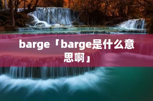 barge「barge是什么意思啊」