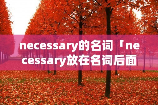 necessary的名词「necessary放在名词后面」