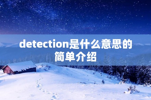 detection是什么意思的简单介绍