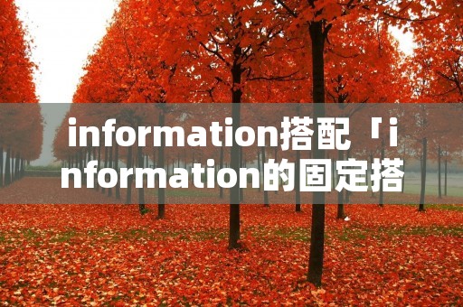 information搭配「information的固定搭配」