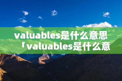 valuables是什么意思「valuables是什么意思中文」