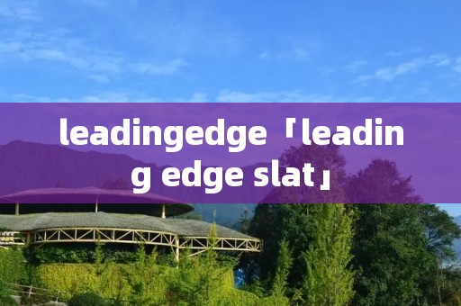 leadingedge「leading edge slat」