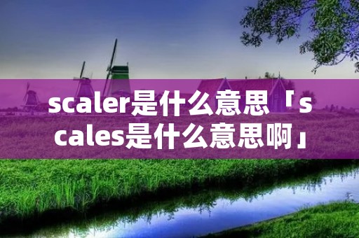 scaler是什么意思「scales是什么意思啊」