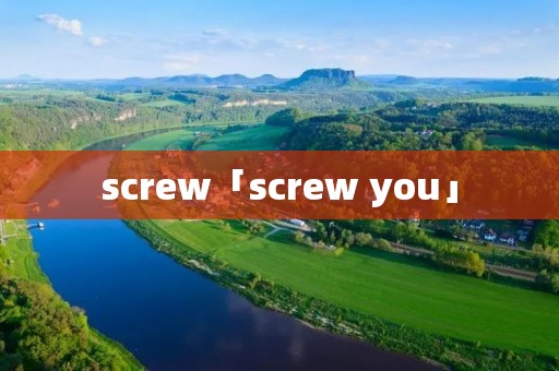 screw「screw you」