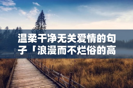 温柔干净无关爱情的句子「浪漫而不烂俗的高级文案」