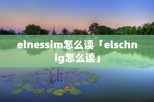 elnessim怎么读「elschnig怎么读」 elnessim怎么读「elschnig怎么读」