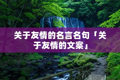 关于友情的名言名句「关于友情的文案」