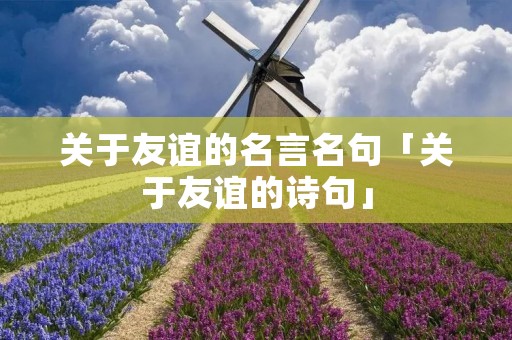 关于友谊的名言名句「关于友谊的诗句」
