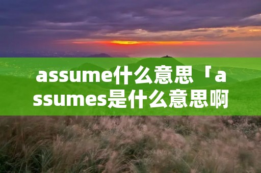 assume什么意思「assumes是什么意思啊」