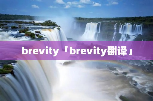 brevity「brevity翻译」