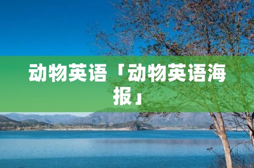 动物英语「动物英语海报」
