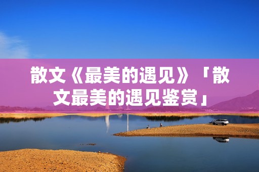 散文《最美的遇见》「散文最美的遇见鉴赏」