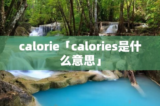 calorie「calories是什么意思」