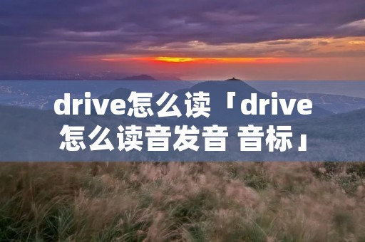 drive怎么读「drive怎么读音发音 音标」