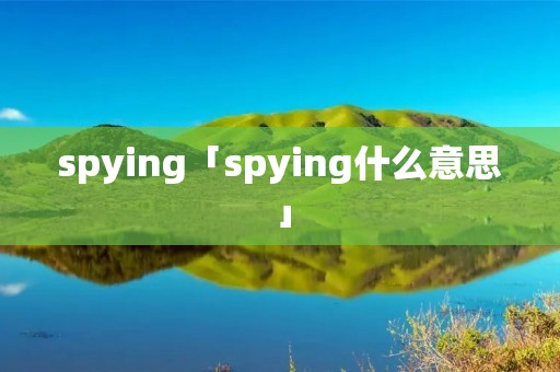 spying「spying什么意思」