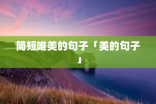 简短唯美的句子「美的句子」